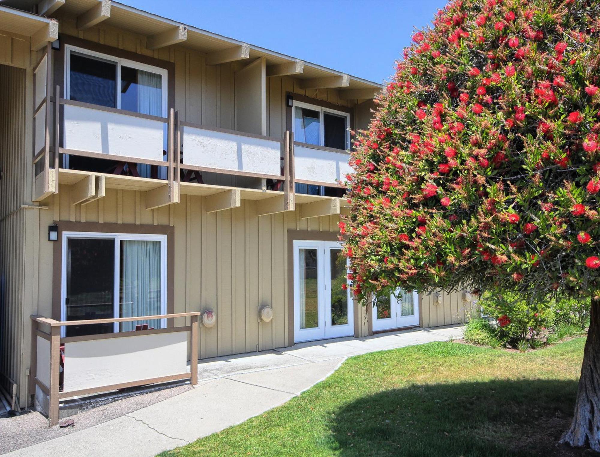 Silver Surf Motel San Simeon Eksteriør billede